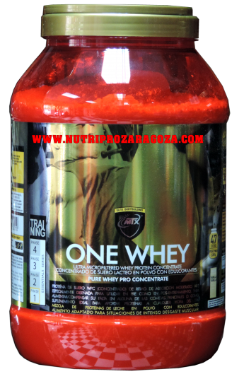 ONE WHEY 1 KG